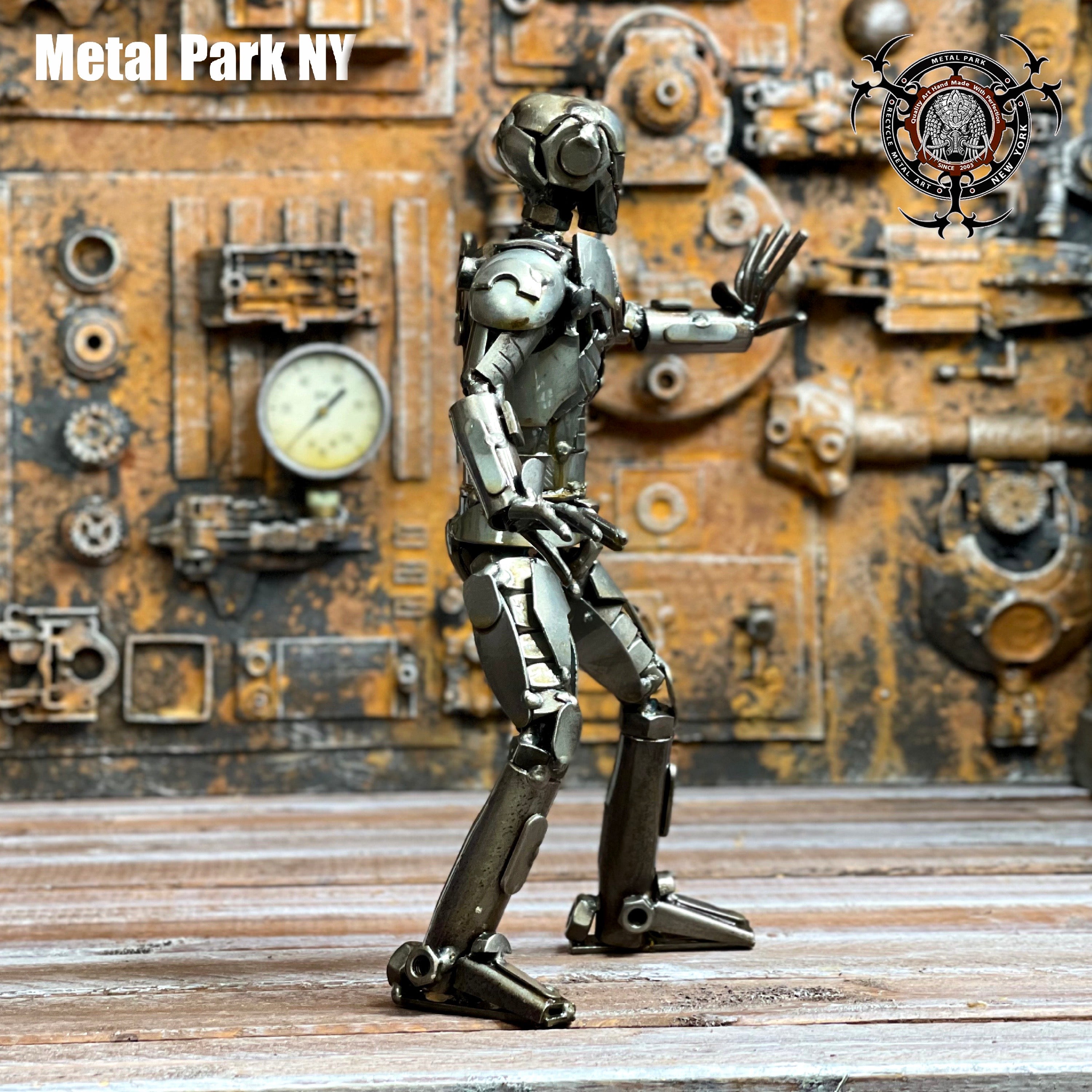 IRON ROBOT