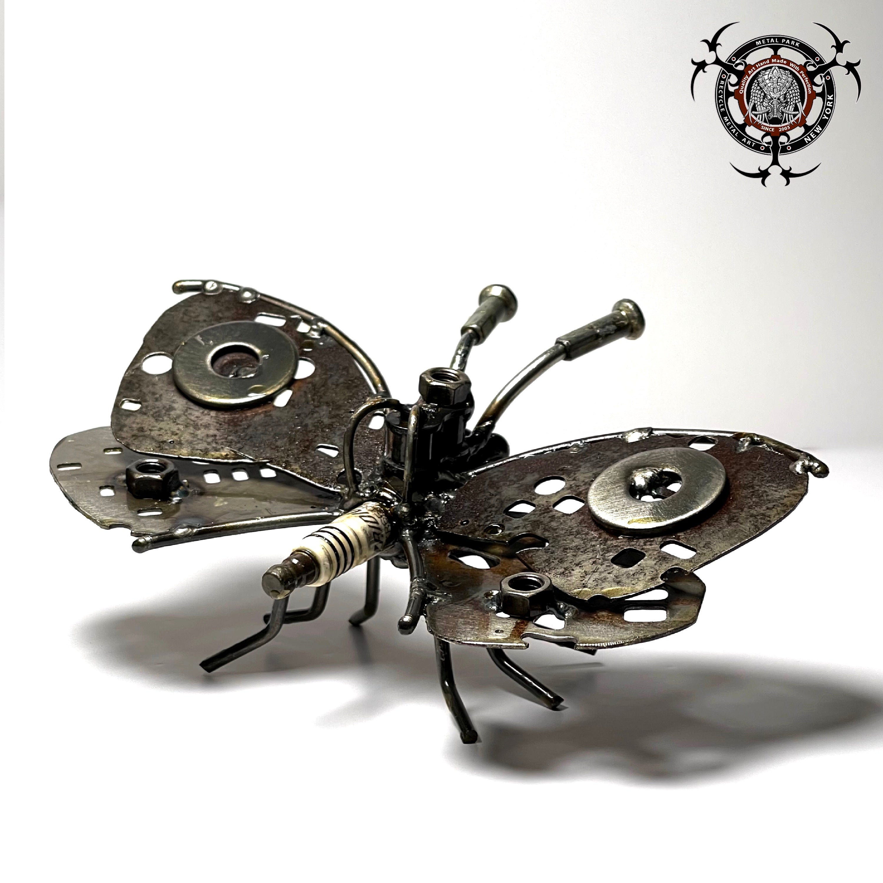 BUTTERFLY