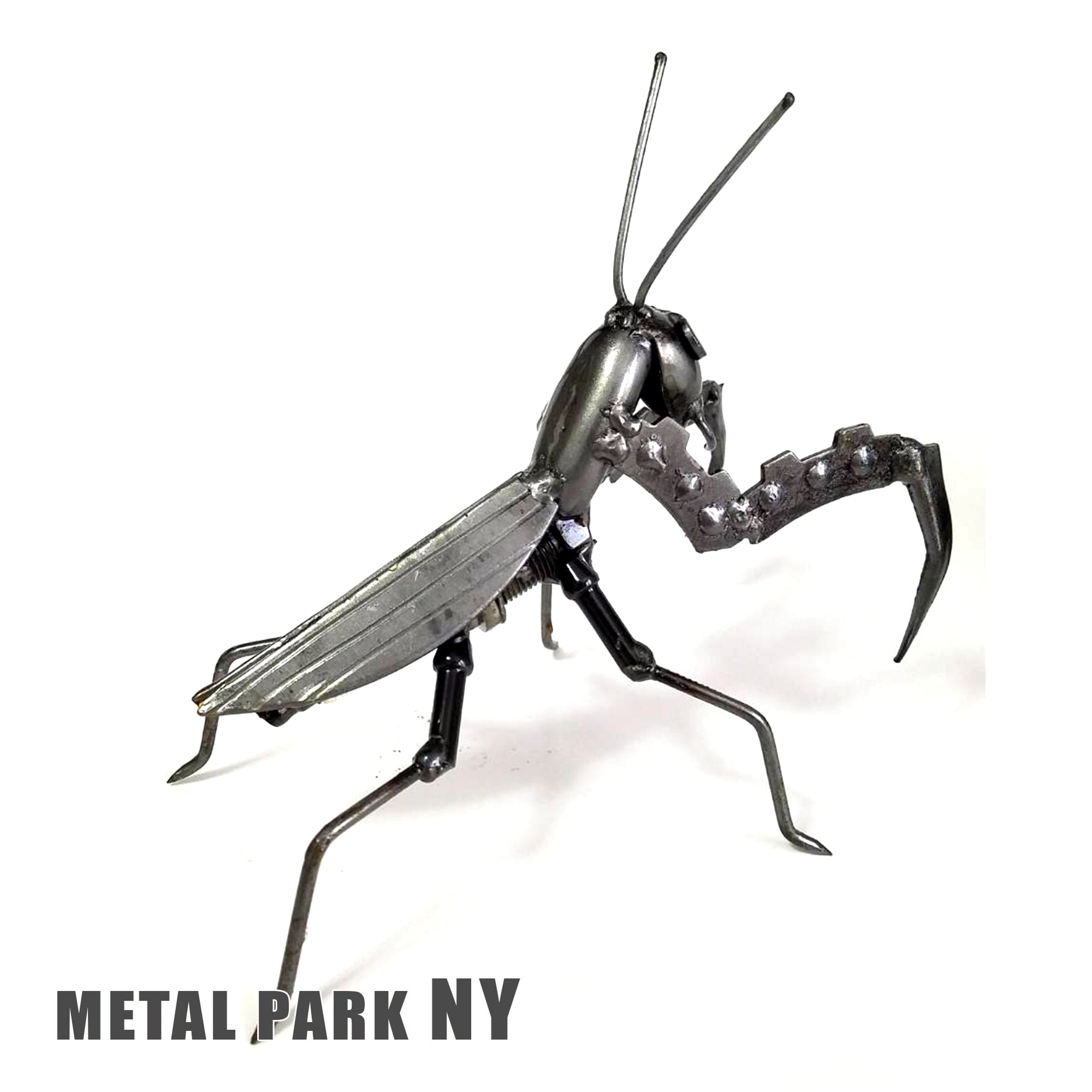 MANTIS