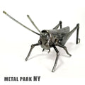 GRASSHOPPER