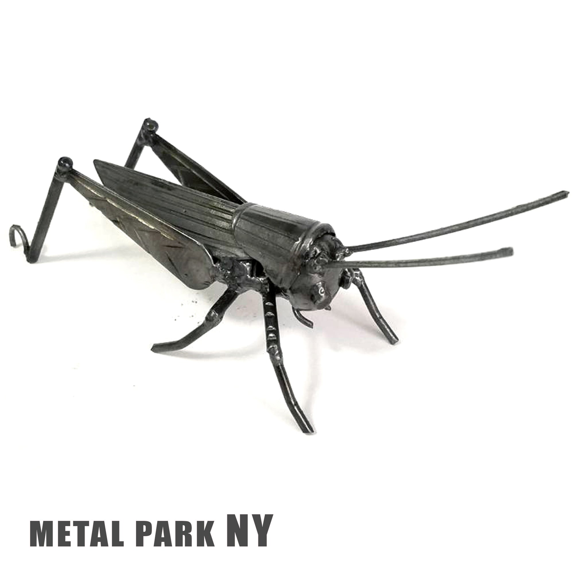 GRASSHOPPER
