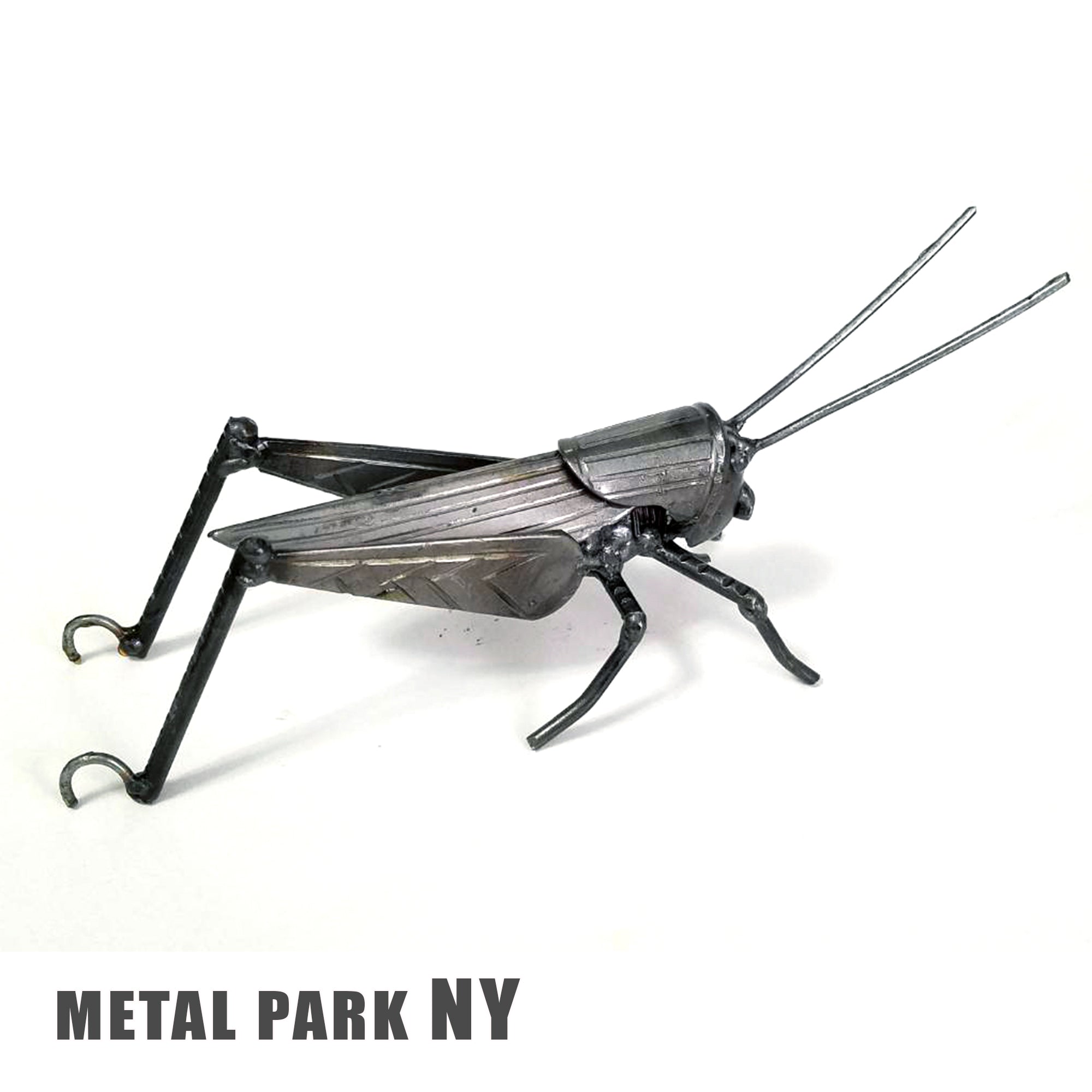 GRASSHOPPER