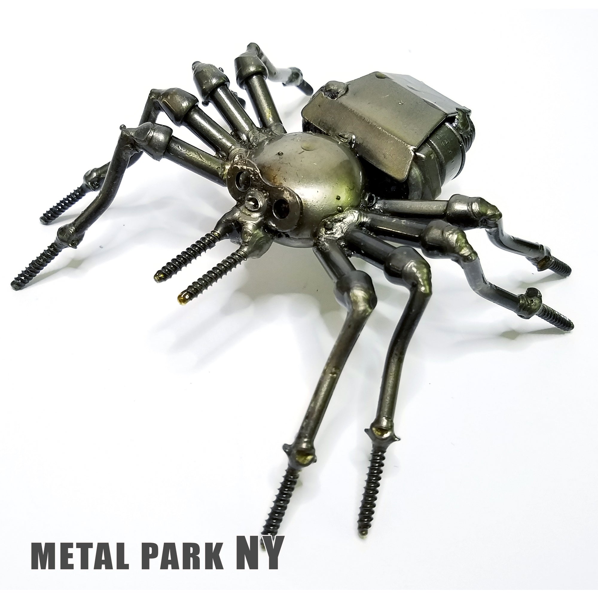 SPIDER