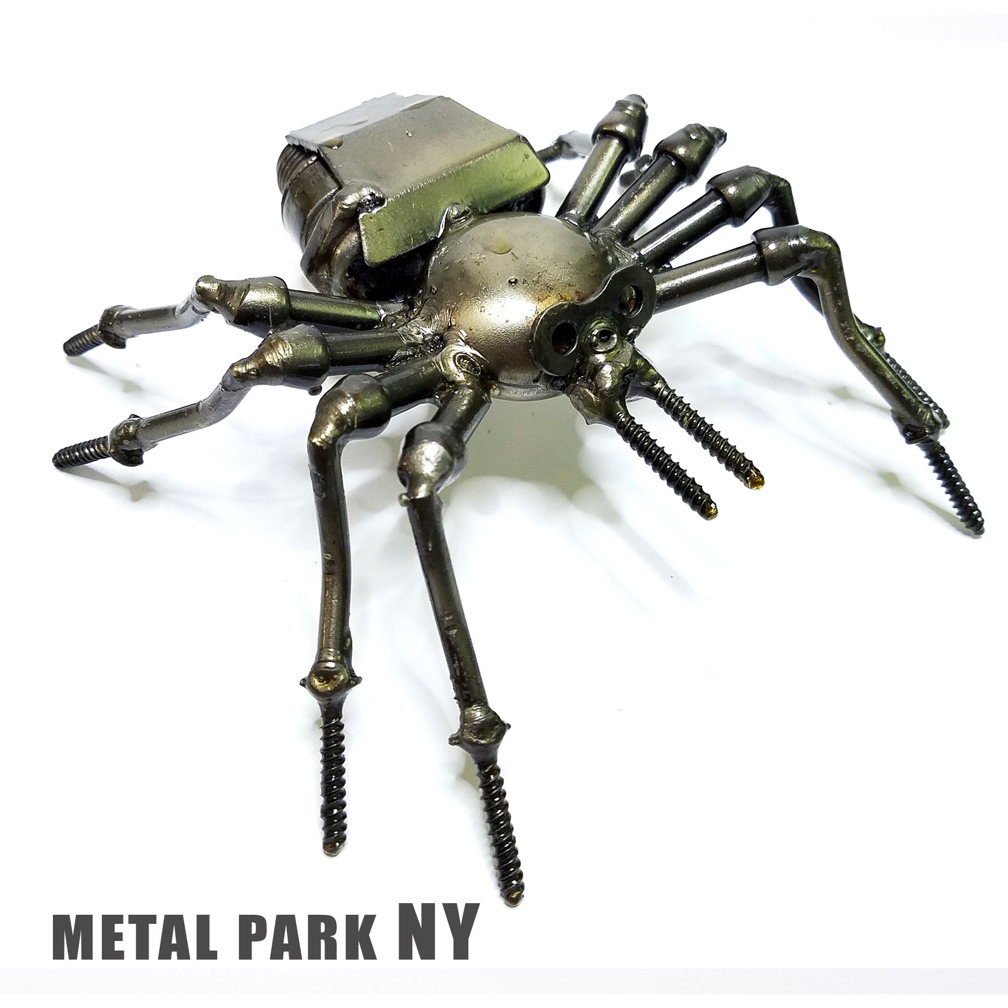 SPIDER