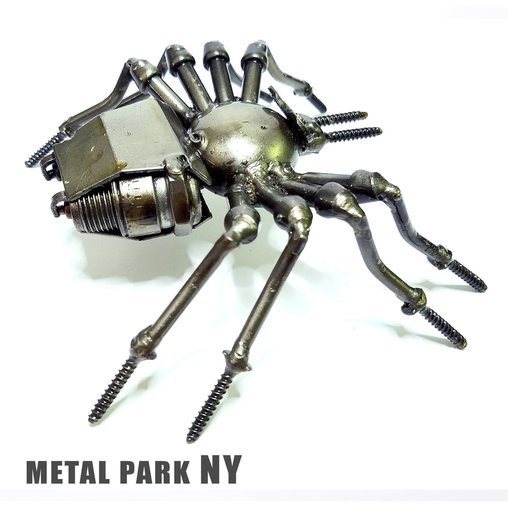 SPIDER