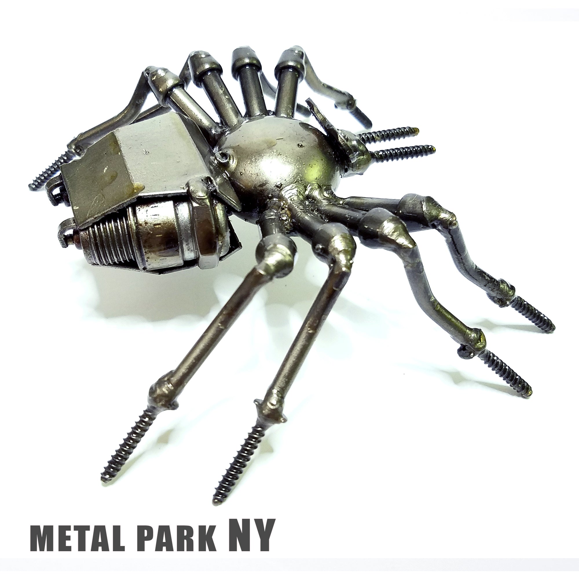 SPIDER